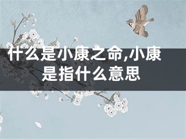 什么是小康之命,小康是指什么意思
