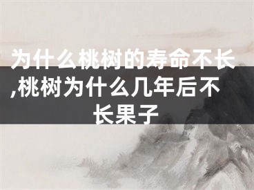 为什么桃树的寿命不长,桃树为什么几年后不长果子