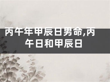 丙午年甲辰日男命,丙午日和甲辰日