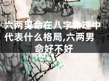 六两男命在八字命理中代表什么格局,六两男命好不好