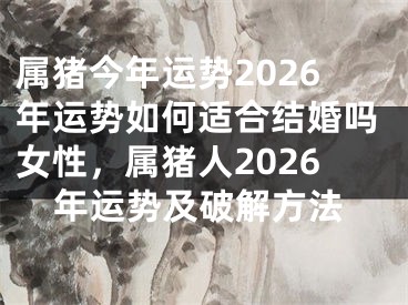 属猪今年运势2026年运势如何适合结婚吗女性，属猪人2026年运势及破解方法