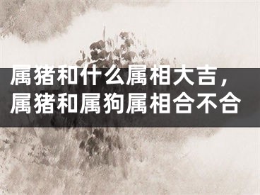 属猪和什么属相大吉，属猪和属狗属相合不合