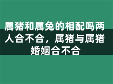 属猪和属兔的相配吗两人合不合，属猪与属猪婚姻合不合