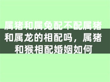 属猪和属兔配不配属猪和属龙的相配吗，属猪和猴相配婚姻如何