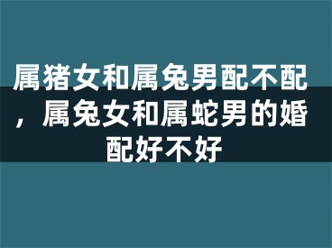 属猪女和属兔男配不配，属兔女和属蛇男的婚配好不好