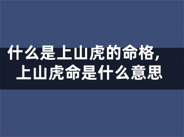 什么是上山虎的命格,上山虎命是什么意思
