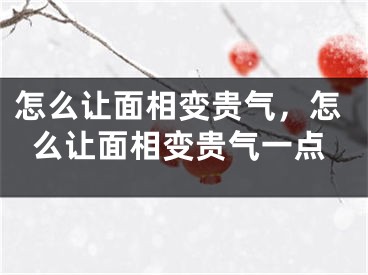 怎么让面相变贵气，怎么让面相变贵气一点