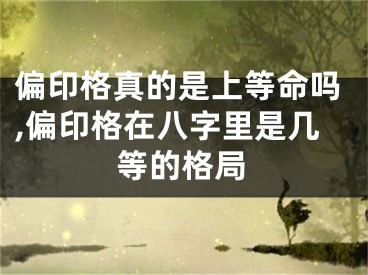 偏印格真的是上等命吗,偏印格在八字里是几等的格局