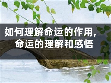 如何理解命运的作用,命运的理解和感悟