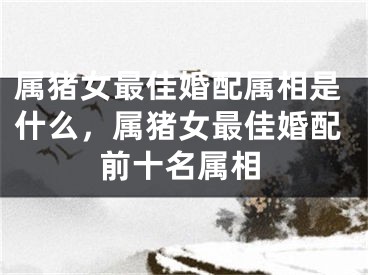 属猪女最佳婚配属相是什么，属猪女最佳婚配前十名属相