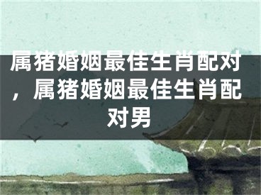 属猪婚姻最佳生肖配对，属猪婚姻最佳生肖配对男