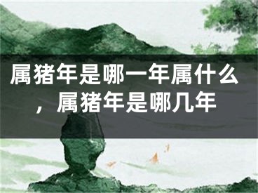 属猪年是哪一年属什么，属猪年是哪几年