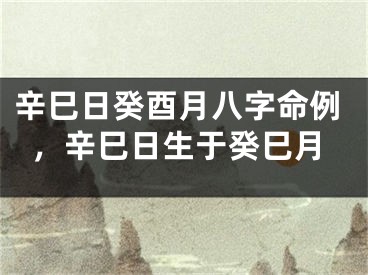 辛巳日癸酉月八字命例,辛巳日生于癸巳月