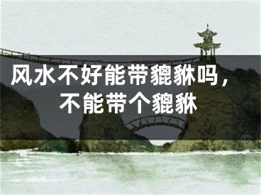风水不好能带貔貅吗，不能带个貔貅