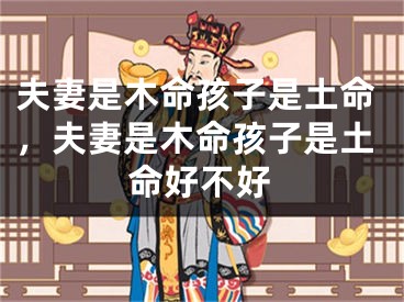夫妻是木命孩子是土命，夫妻是木命孩子是土命好不好