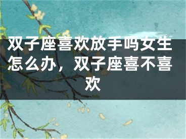 双子座喜欢放手吗女生怎么办，双子座喜不喜欢