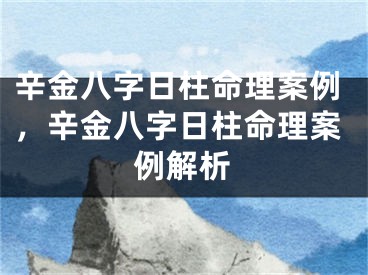 辛金八字日柱命理案例，辛金八字日柱命理案例解析