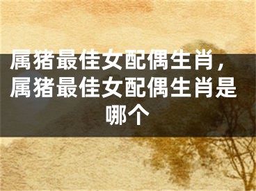 属猪最佳女配偶生肖，属猪最佳女配偶生肖是哪个