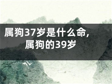 属狗37岁是什么命,属狗的39岁