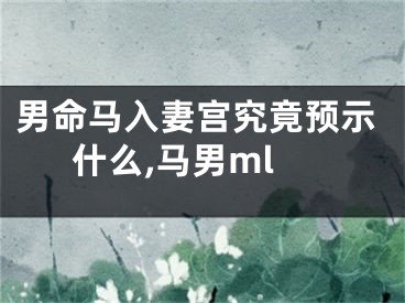 男命马入妻宫究竟预示什么,马男ml
