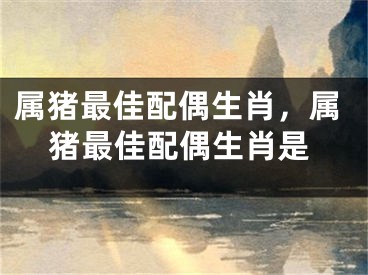 属猪最佳配偶生肖，属猪最佳配偶生肖是