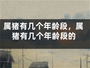 属猪有几个年龄段，属猪有几个年龄段的