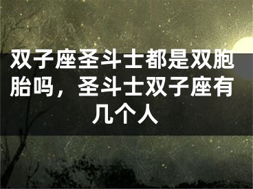 双子座圣斗士都是双胞胎吗，圣斗士双子座有几个人