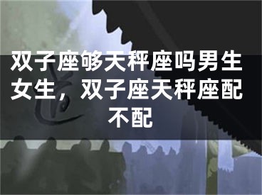 双子座够天秤座吗男生女生，双子座天秤座配不配
