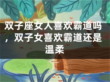 双子座女人喜欢霸道吗，双子女喜欢霸道还是温柔
