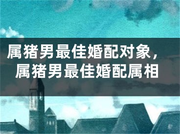 属猪男最佳婚配对象，属猪男最佳婚配属相