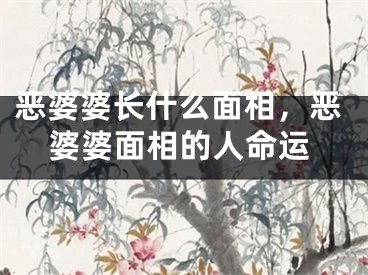 恶婆婆长什么面相，恶婆婆面相的人命运