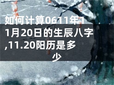 如何计算0611年11月20日的生辰八字,11.20阳历是多少