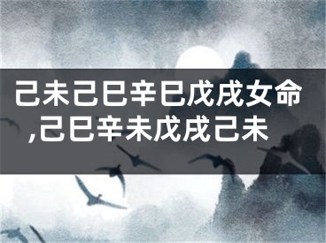 己未己巳辛巳戊戌女命,己巳辛未戊戌己未