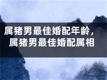 属猪男最佳婚配年龄，属猪男最佳婚配属相