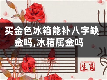 买金色冰箱能补八字缺金吗,冰箱属金吗