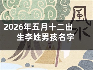 2026年五月十二出生李姓男孩名字