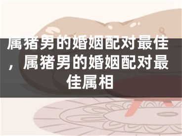 属猪男的婚姻配对最佳，属猪男的婚姻配对最佳属相