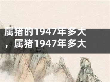 属猪的1947年多大，属猪1947年多大