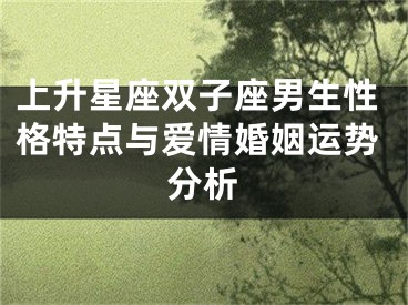 上升星座双子座男生性格特点与爱情婚姻运势分析