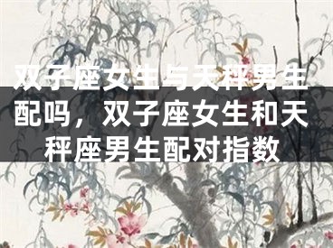 双子座女生与天秤男生配吗，双子座女生和天秤座男生配对指数