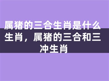 属猪的三合生肖是什么生肖，属猪的三合和三冲生肖