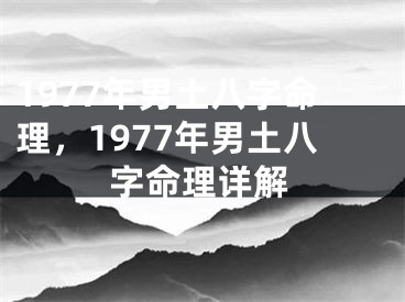 1977年男土八字命理，1977年男土八字命理详解