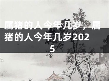 属猪的人今年几岁，属猪的人今年几岁2025