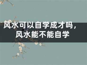 风水可以自学成才吗，风水能不能自学