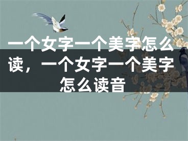一个女字一个美字怎么读，一个女字一个美字怎么读音