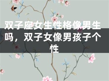 双子座女生性格像男生吗，双子女像男孩子个性