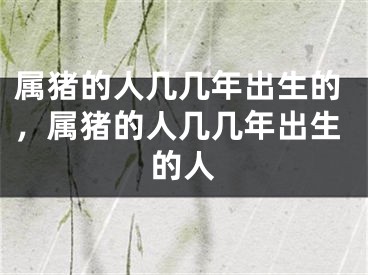 属猪的人几几年出生的，属猪的人几几年出生的人