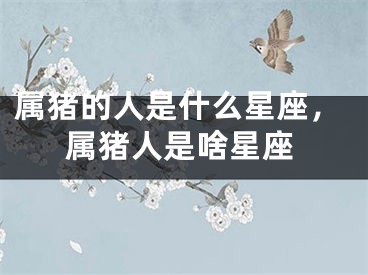 属猪的人是什么星座，属猪人是啥星座