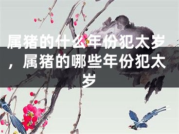 属猪的什么年份犯太岁，属猪的哪些年份犯太岁