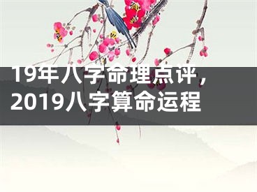 19年八字命理点评，2019八字算命运程